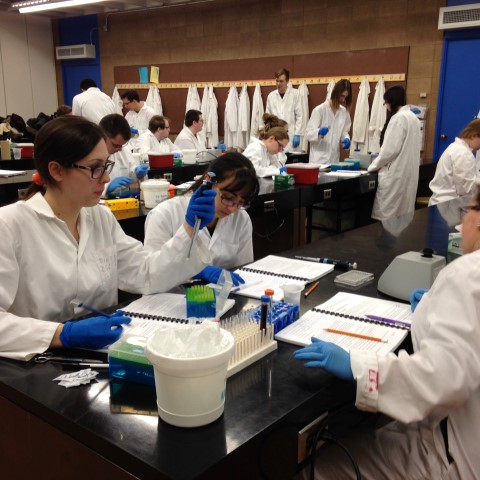 a group of students in a lab
