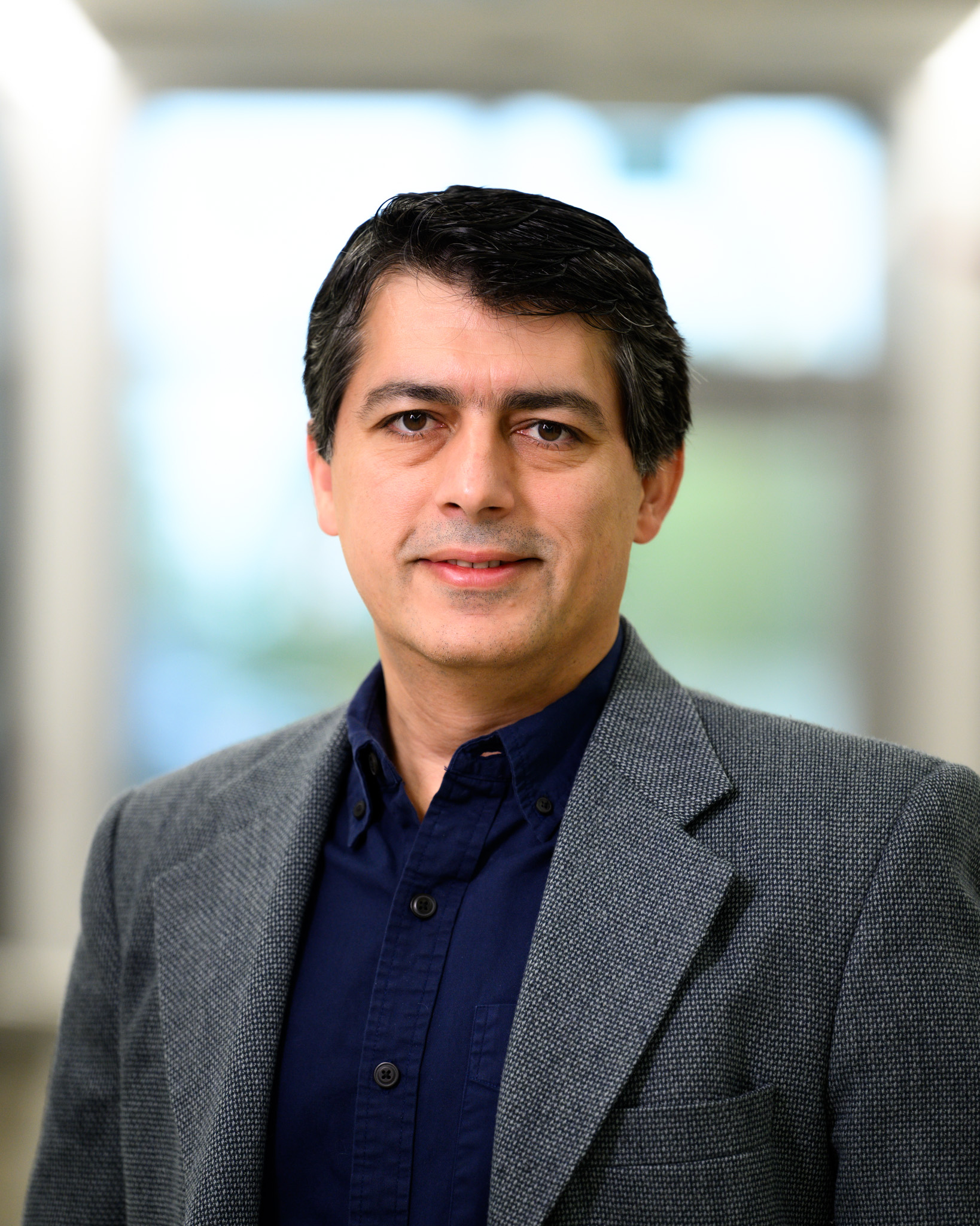 Dr Pedram Fatehi, Director of the Biorefining Research Institute
