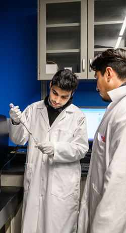 Researchers in a lab preparing samples