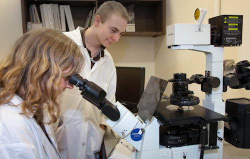 Technicians looking into a microscope