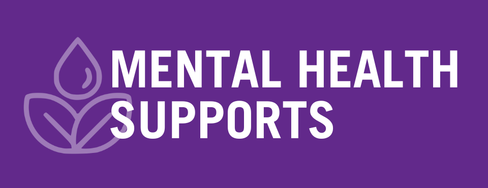 Purple background with text reading mental health supports 