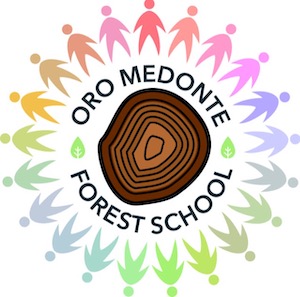 Oro Medonte Forest School logo