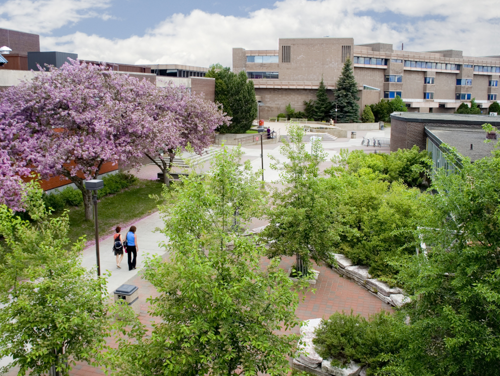 Photo of the Lakehead University Thunder Bay campus with its blooming cherry blossom trees.