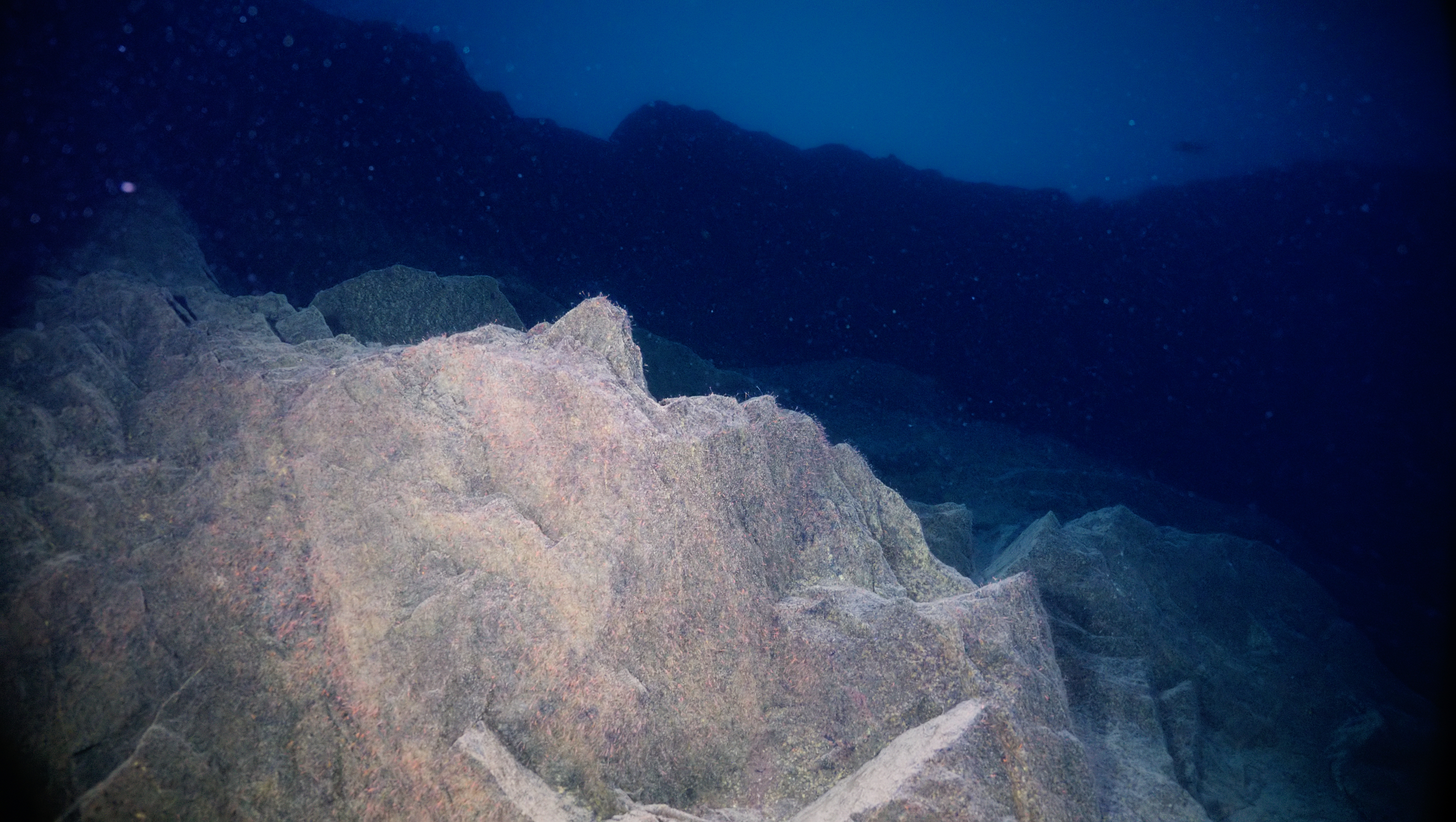 View of the Superior Shoal