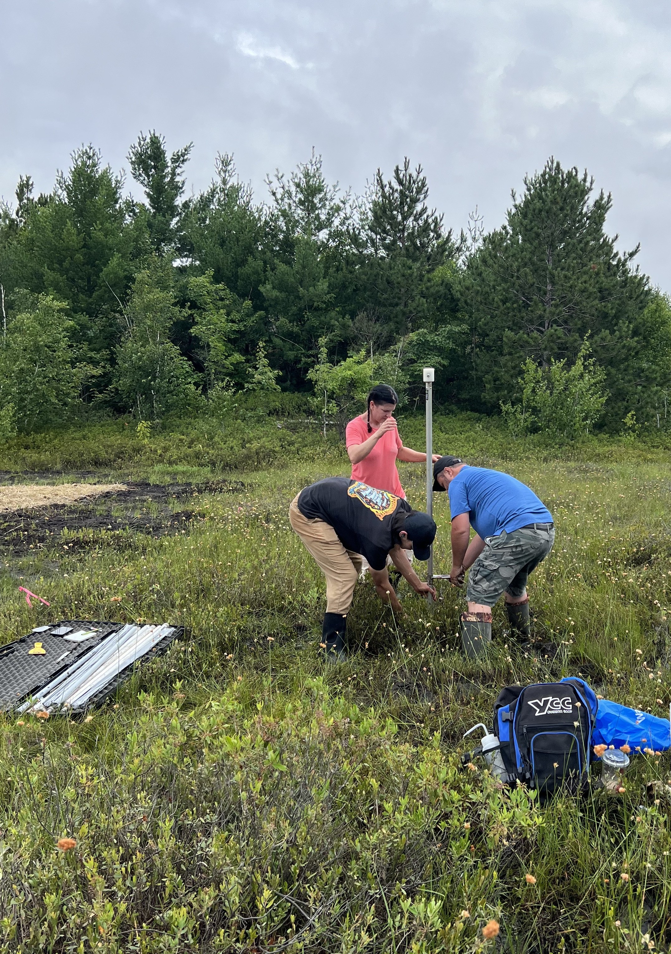 Three researchers collect a peat core sample
