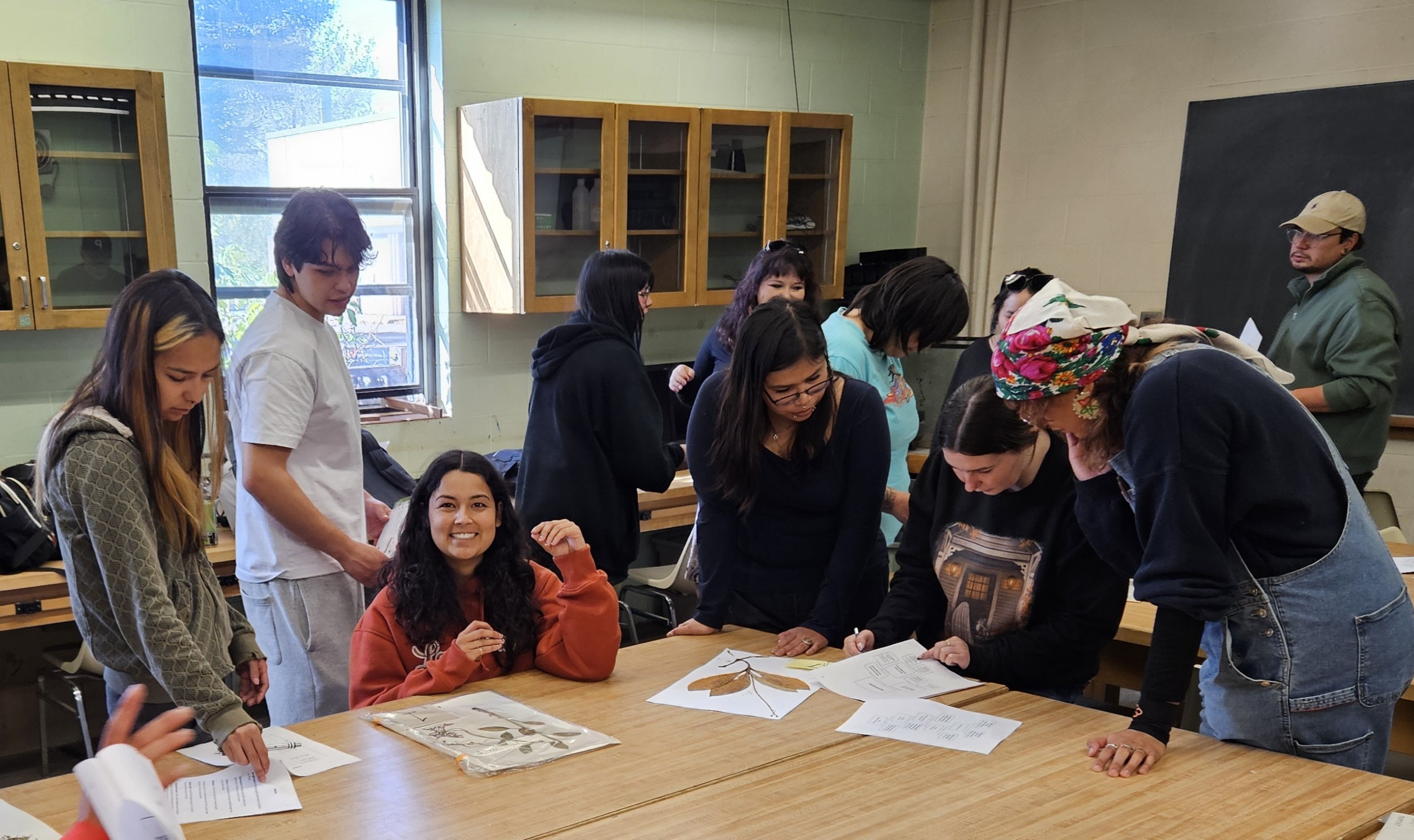 Students gather around a table with plant vouchers and look at dichotomous keys