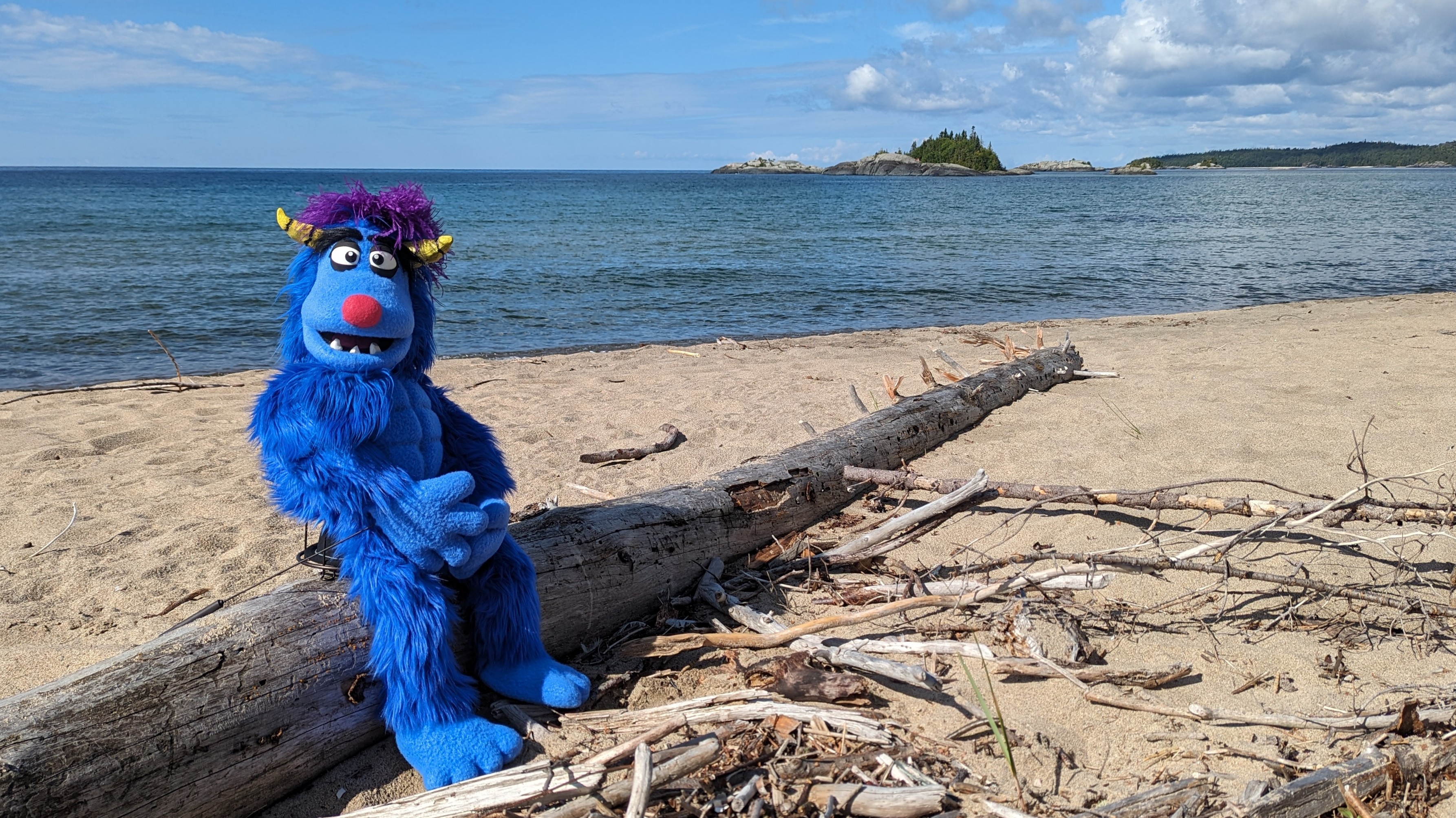 A blue furry monster puppet sits on a log on a beach