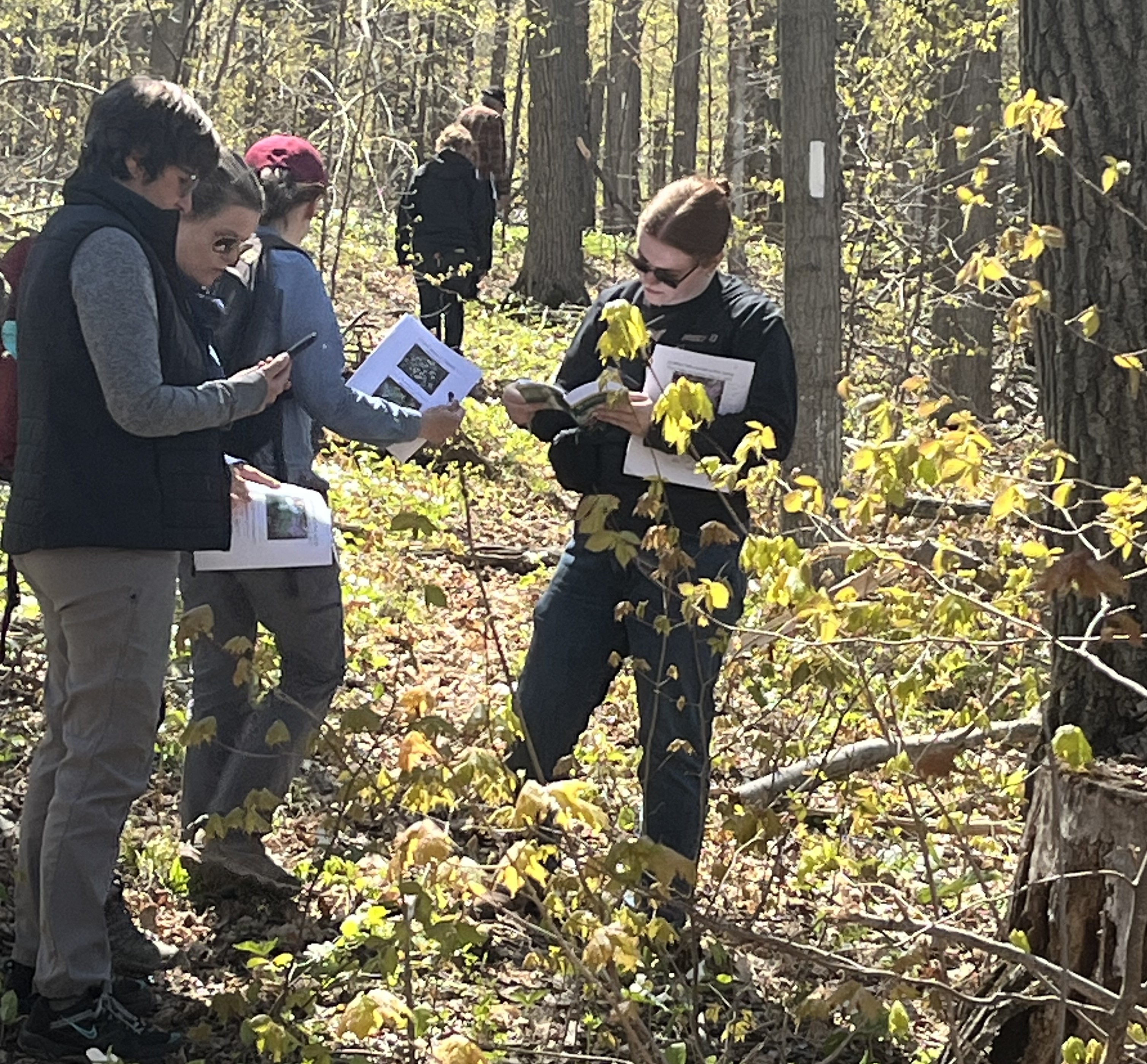2025 Ontario Master Naturalist Wildflower Workshop Ontario Master Naturalist Program learners on a wildflower field trip in the woods