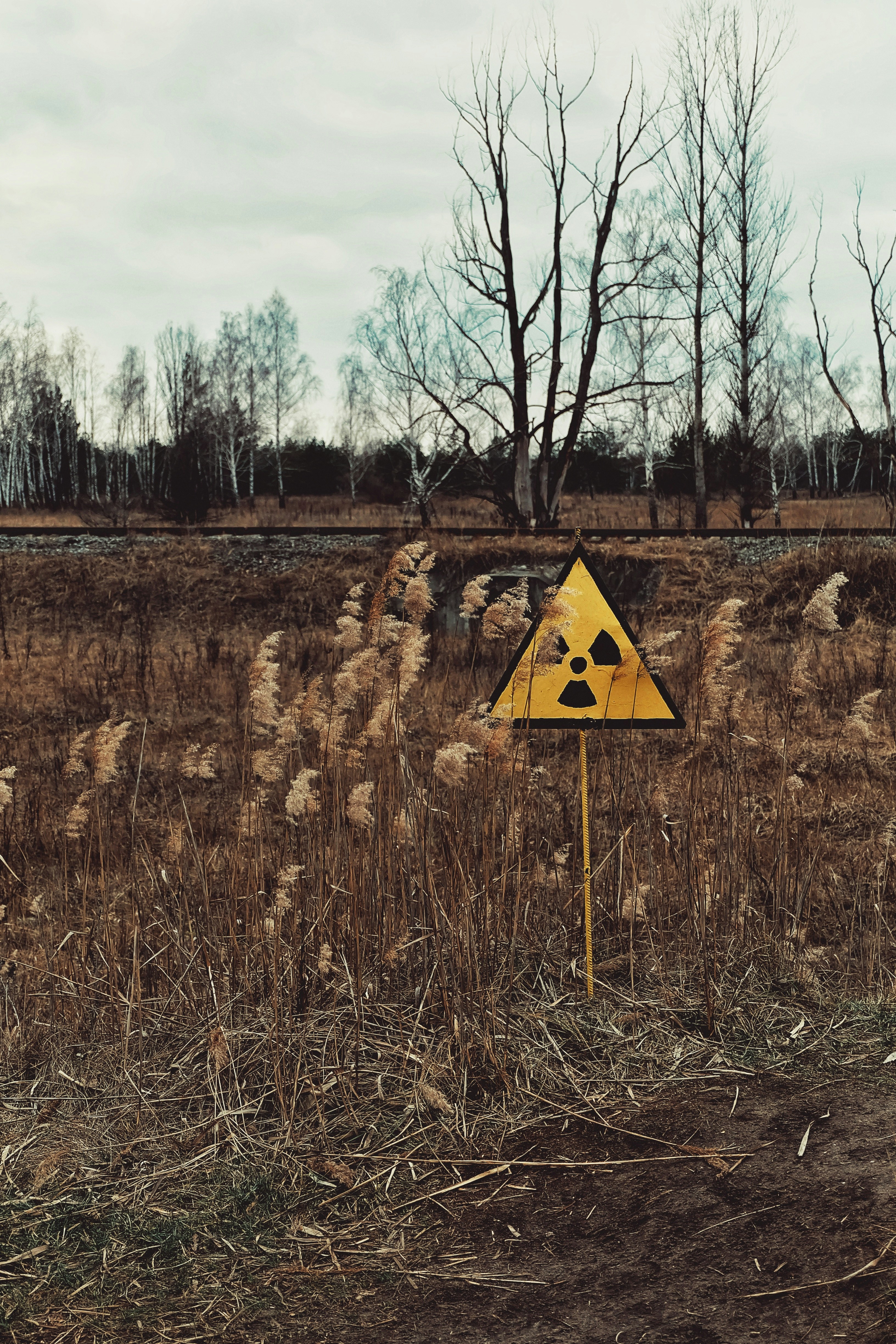 A radiation warning sign stands in field in an area poisoned by the Chernobyl Nuclear Power Plant
