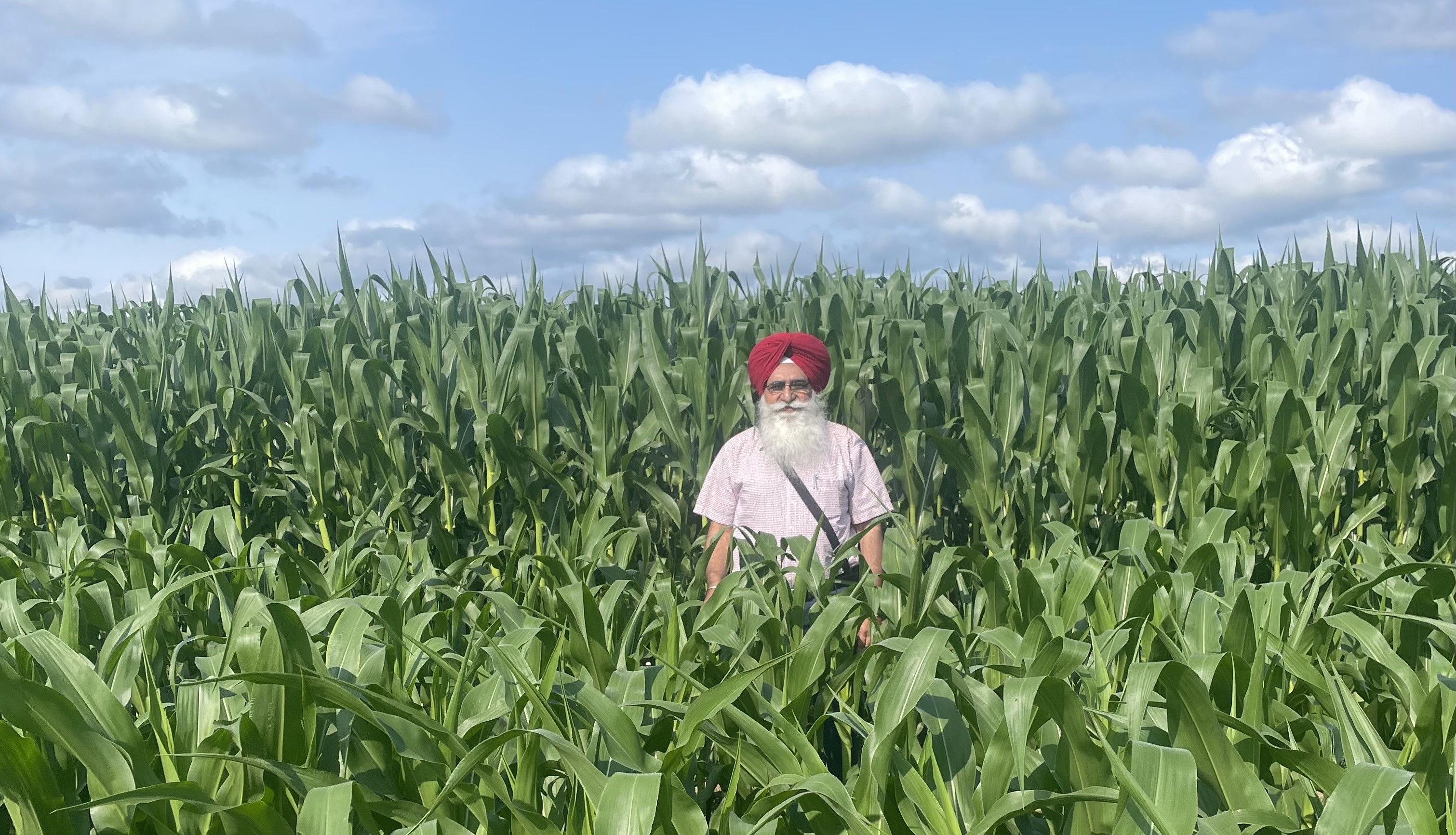 Tarlok Singh Sahota Stands in a Cornfield Dr. Tarlok Singh Sahota stands in a green cornfield on a summer day