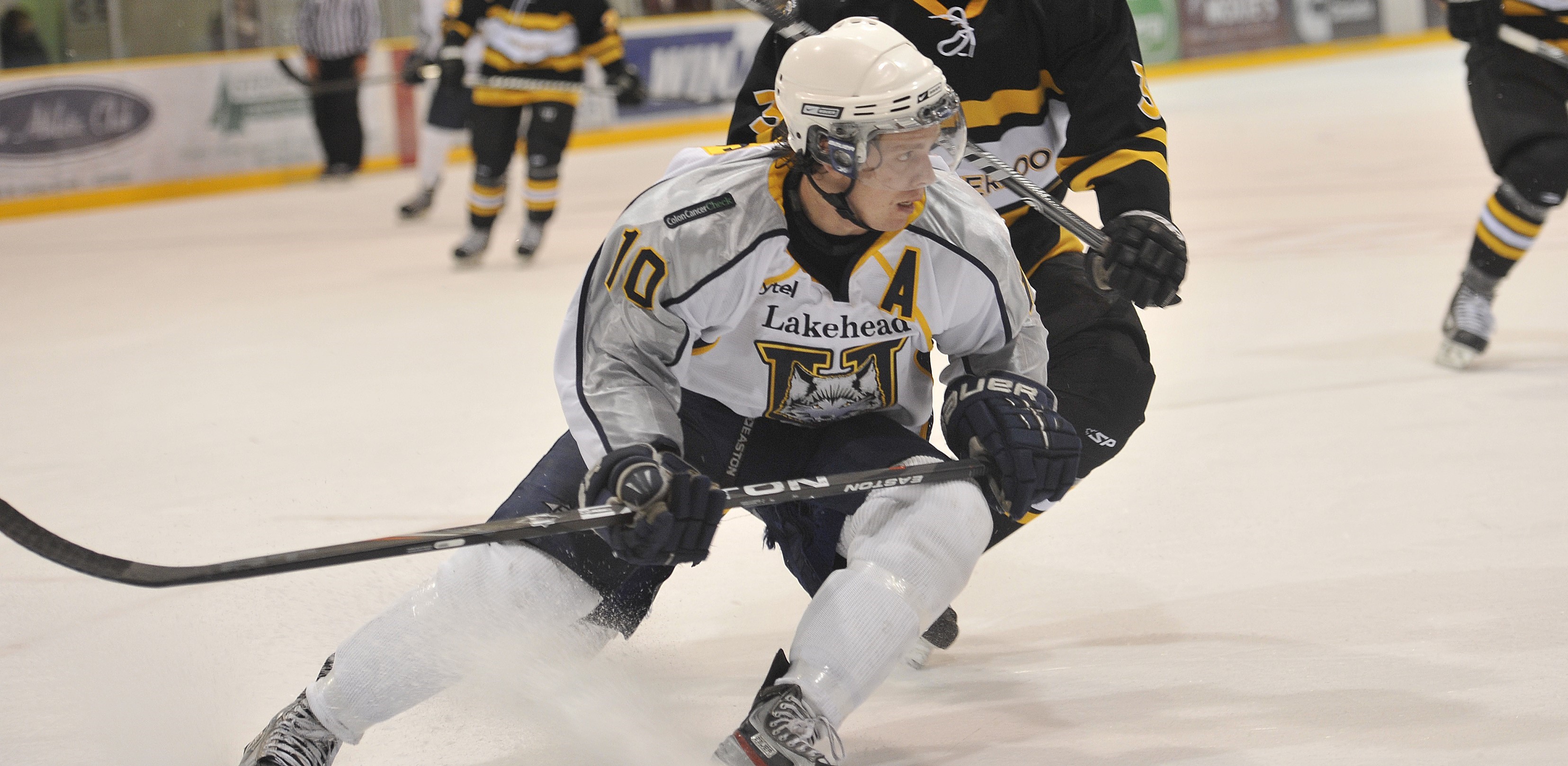 A Lakehead Thunderwolves men's hockey game in action