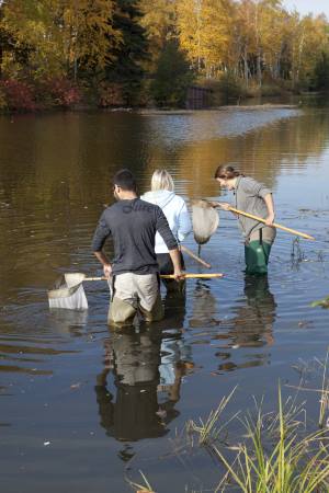 Students in the McIntyre River with nets during class