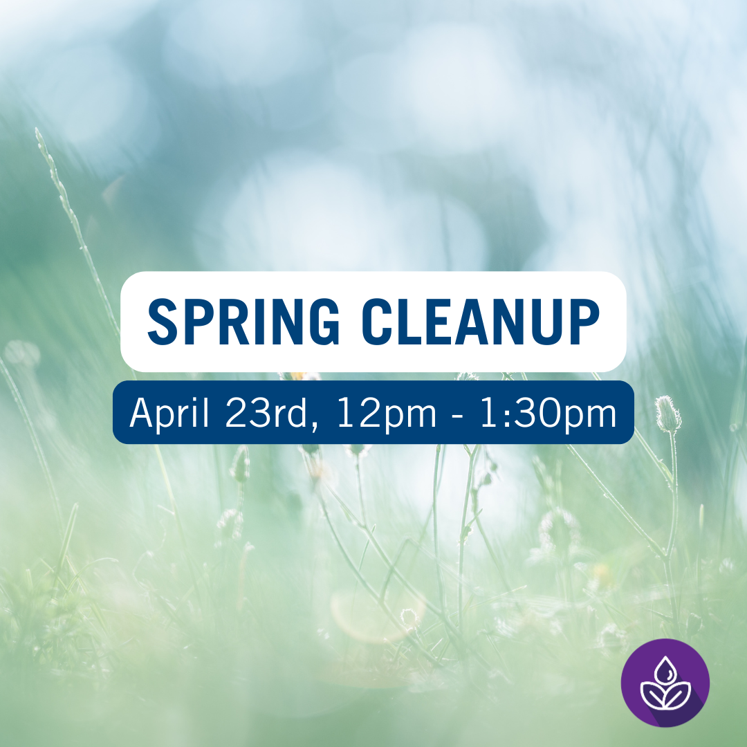 (OR) Spring Cleanup | Lakehead University