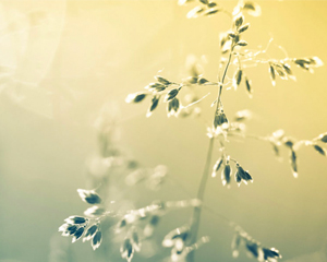 More feet on the ground