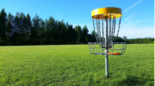 a disc golf post in a field