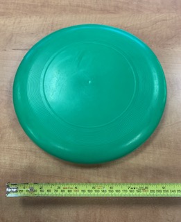 Frisbee Large