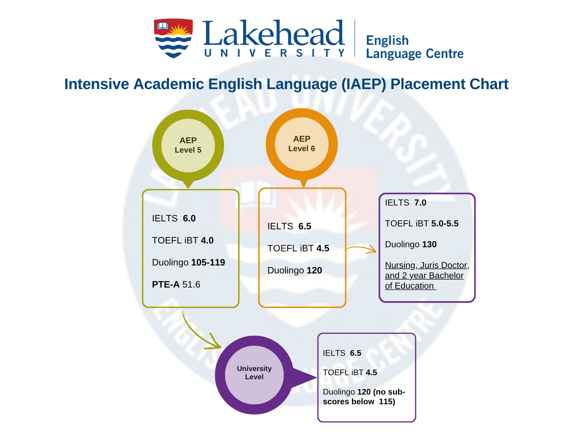 IAEP chart