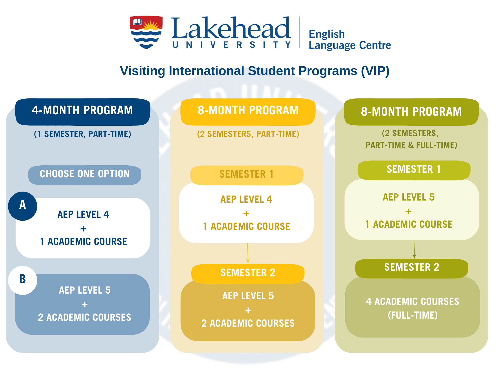 VIP Programs