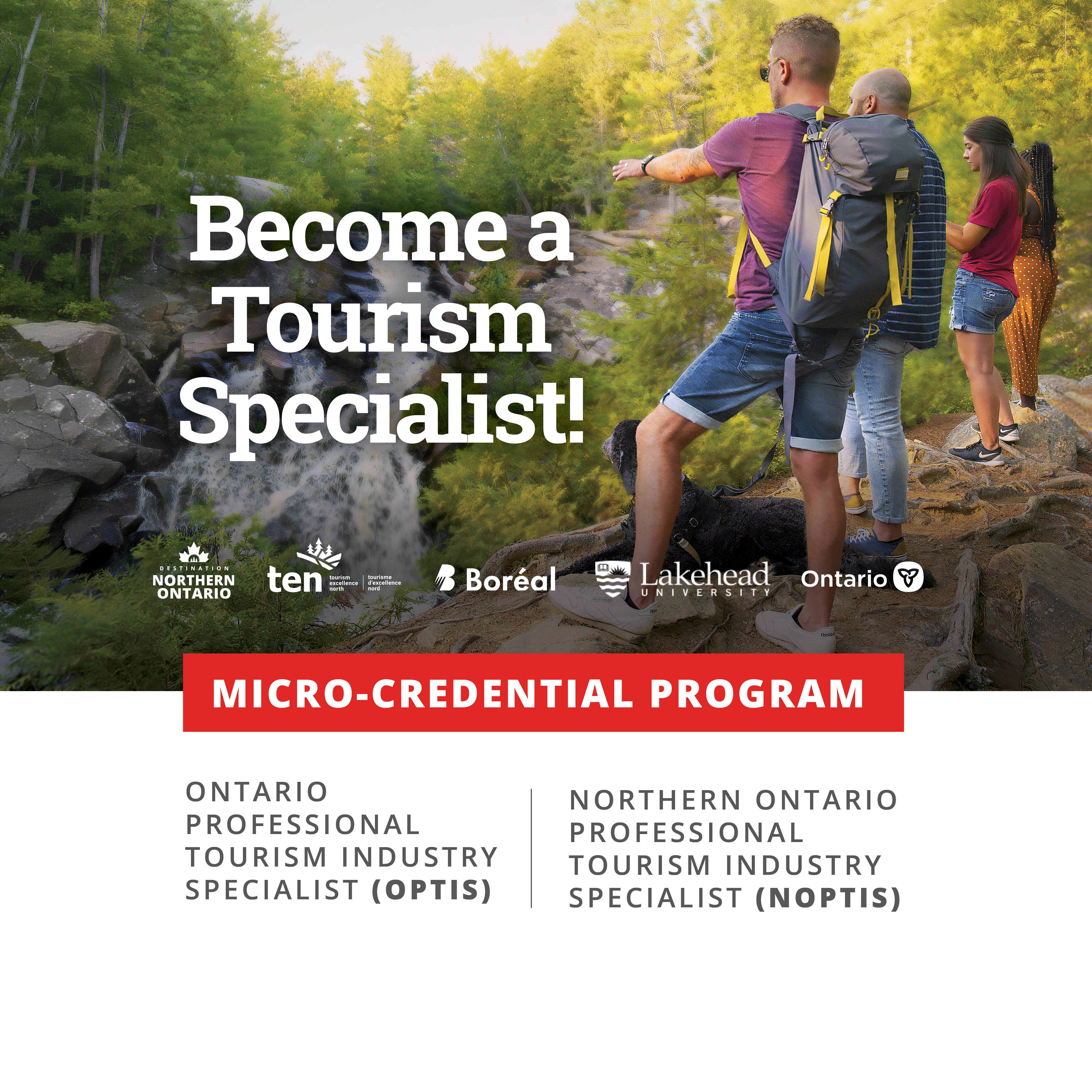 Become a tourism specialist