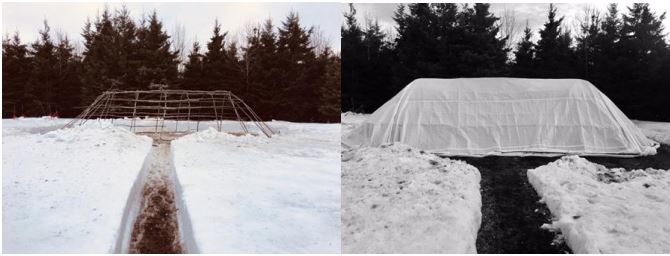 Left image: A traditional wigwam structure stands outside in a snow-covered winter setting in front of a forest. There is a well-shovelled path that leads to the structure. The frame of the structure is made from poplar trees and holds approximately 30 people. Right image: The same structure is located in the same setting except it has a large white covering sheet draped over it to protect the occupants from the natural elements.