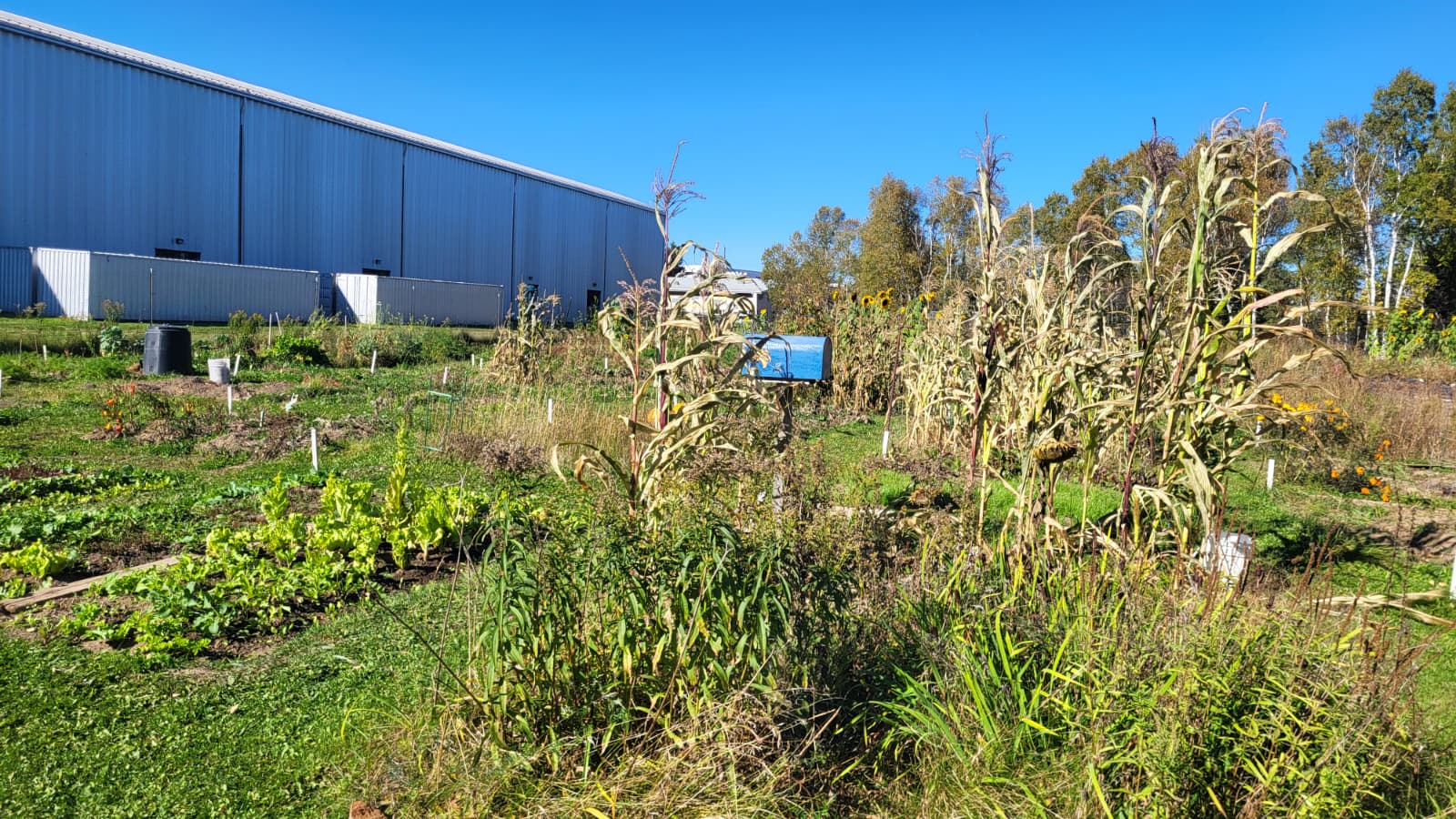 Community Garden Plots