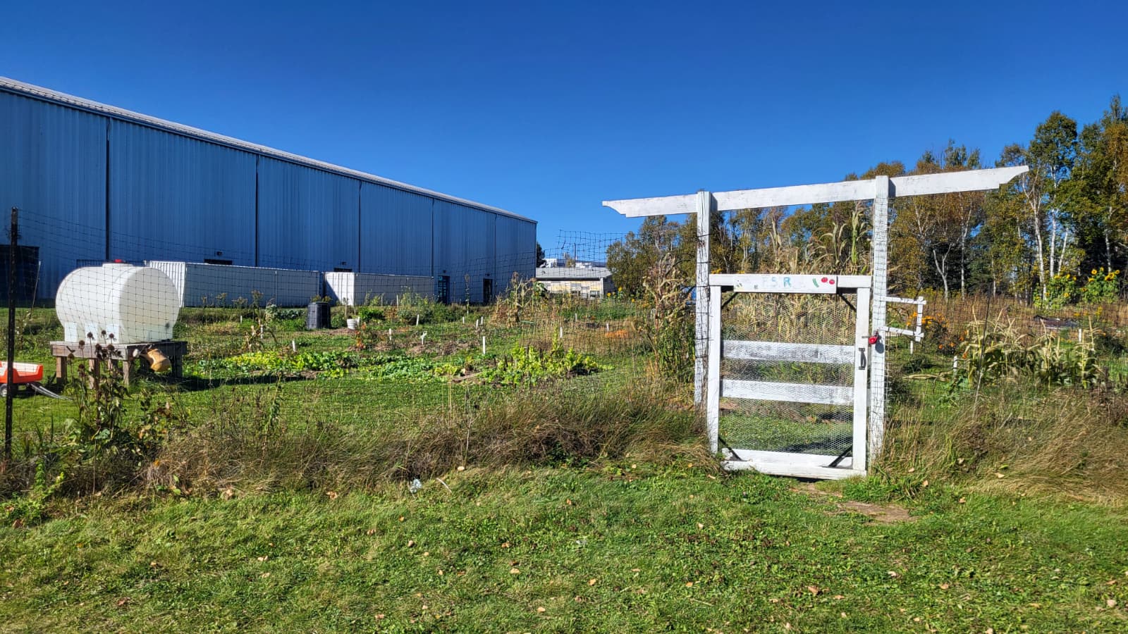 community-garden-lakehead Mama Aki Miijim the community garden at Lakehead