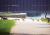 Geese crossing on campus