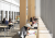 Students studying in the Learning Commons