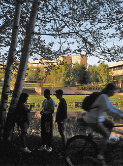A photo of Students enjoying the beautiful nature around the Thunder Bay campus