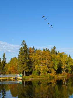 A photo of Lake Tamblyn on Thunder Bay Campus