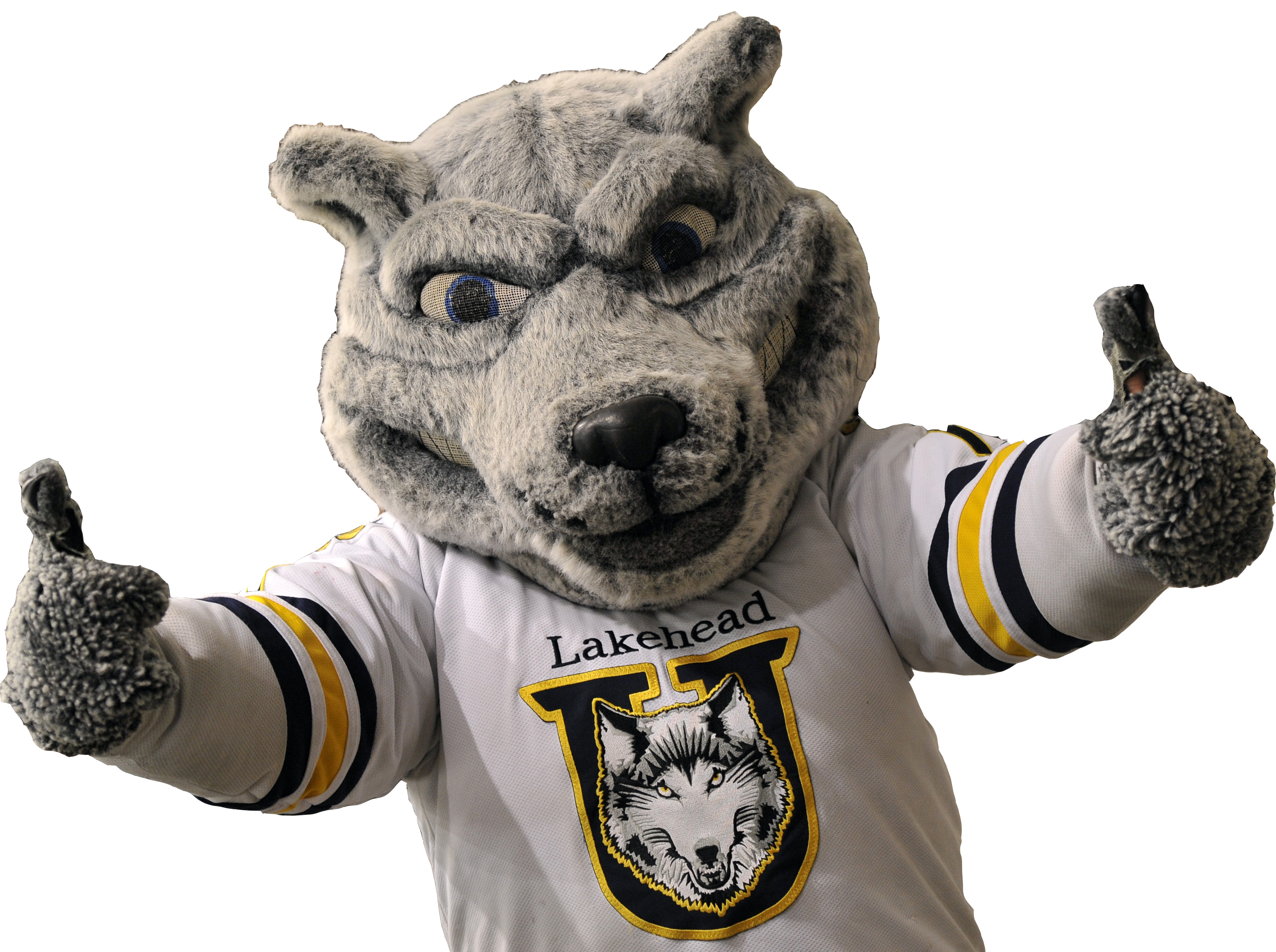 Image of Wolfie giving 2 thumbs up