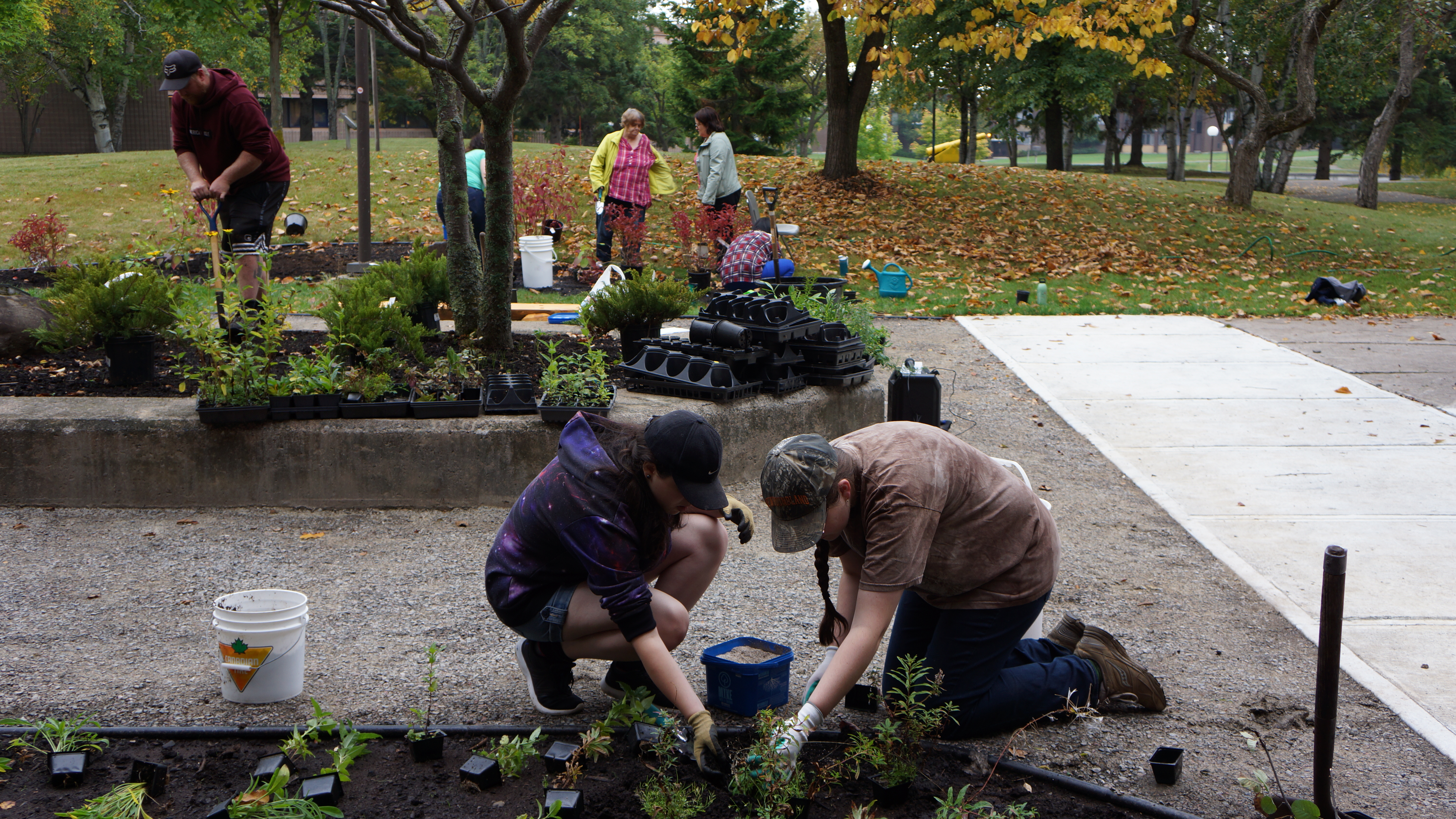 Volunteers planting flowers and other plants such as shrubberies 