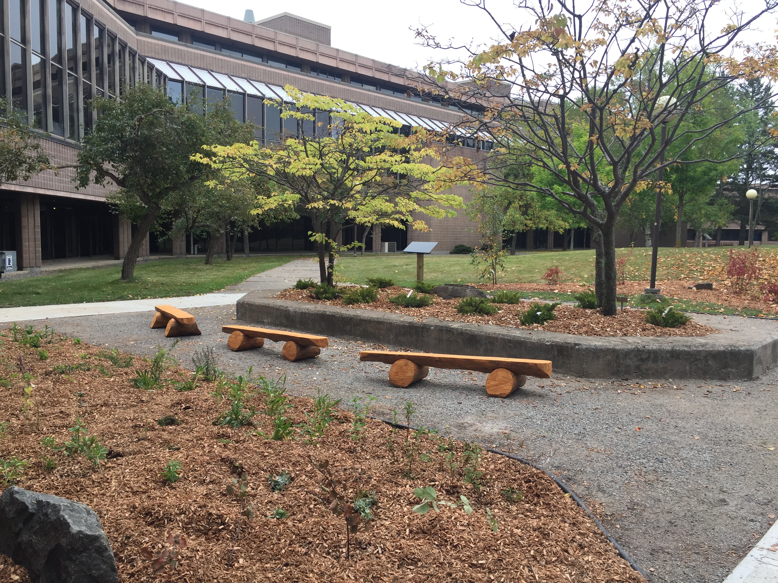 Outdoor Classroom on Lakehead Campus