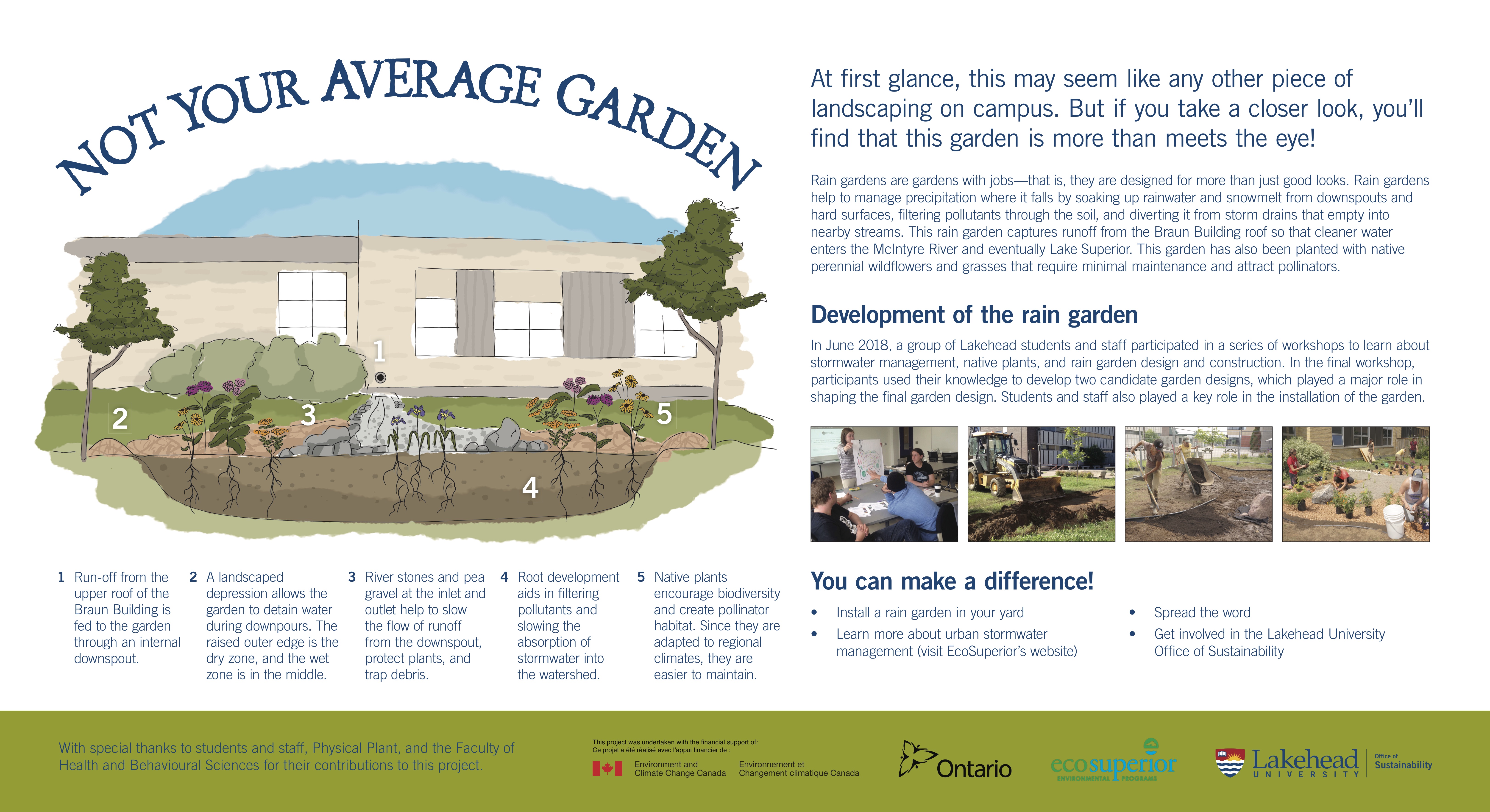 Infographic about the rain garden