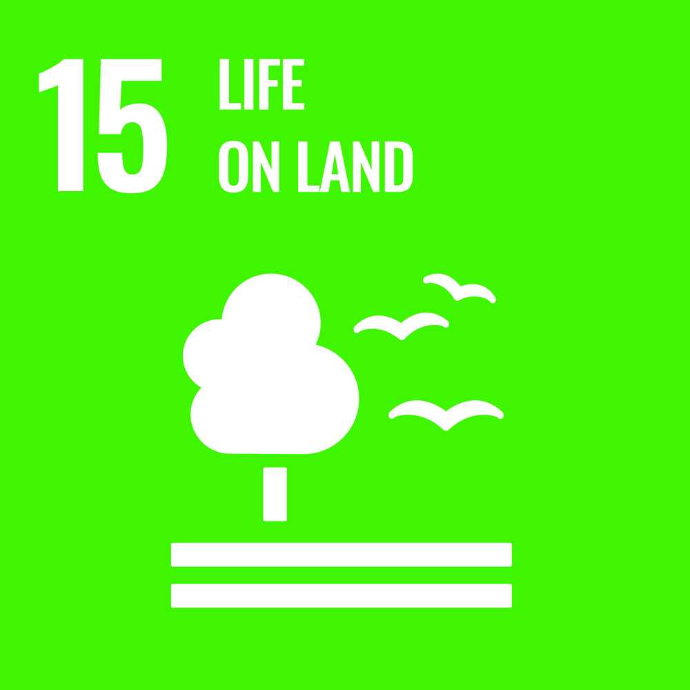 SDG Life on Land