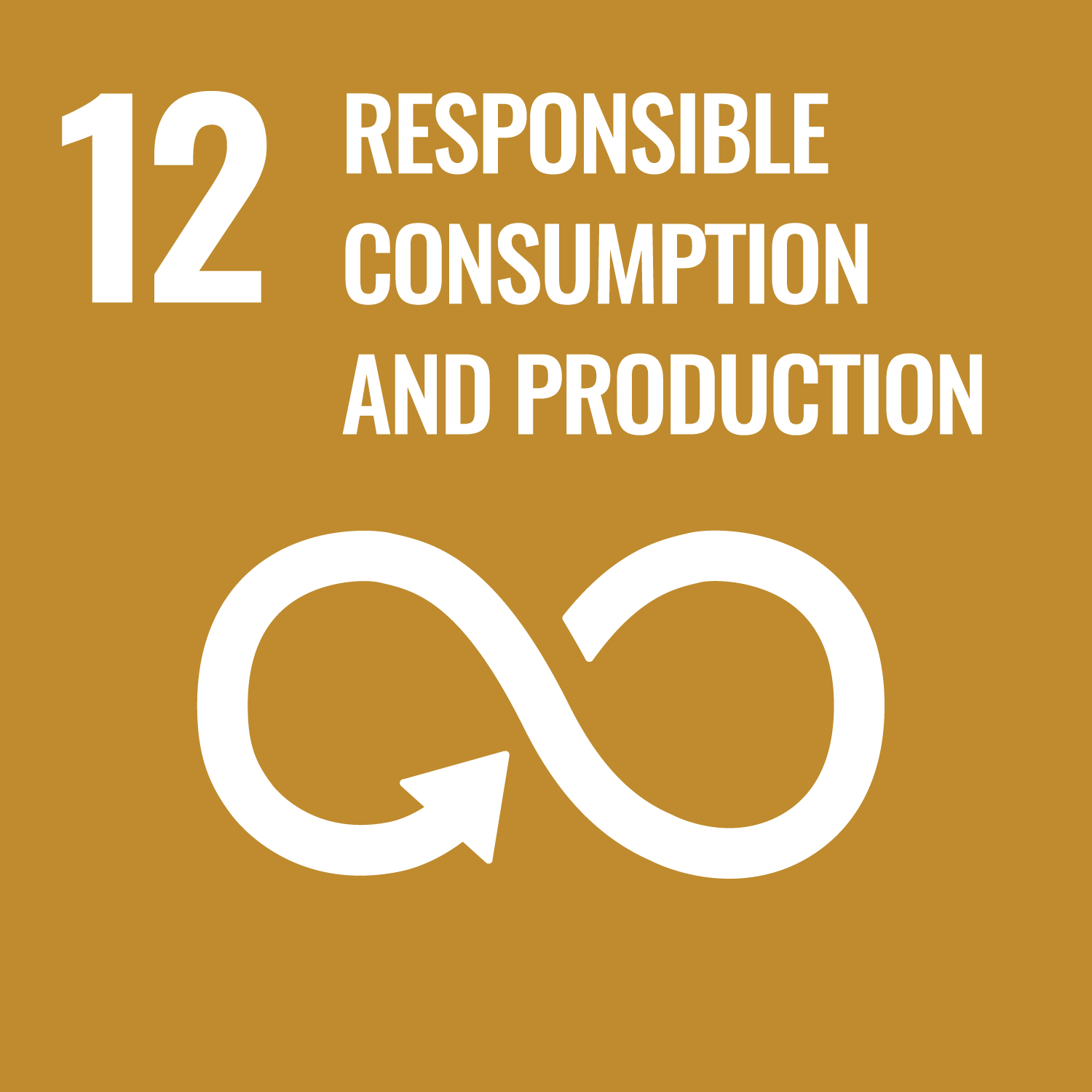 UN SDG 12 - Responsible Consumption and Protection