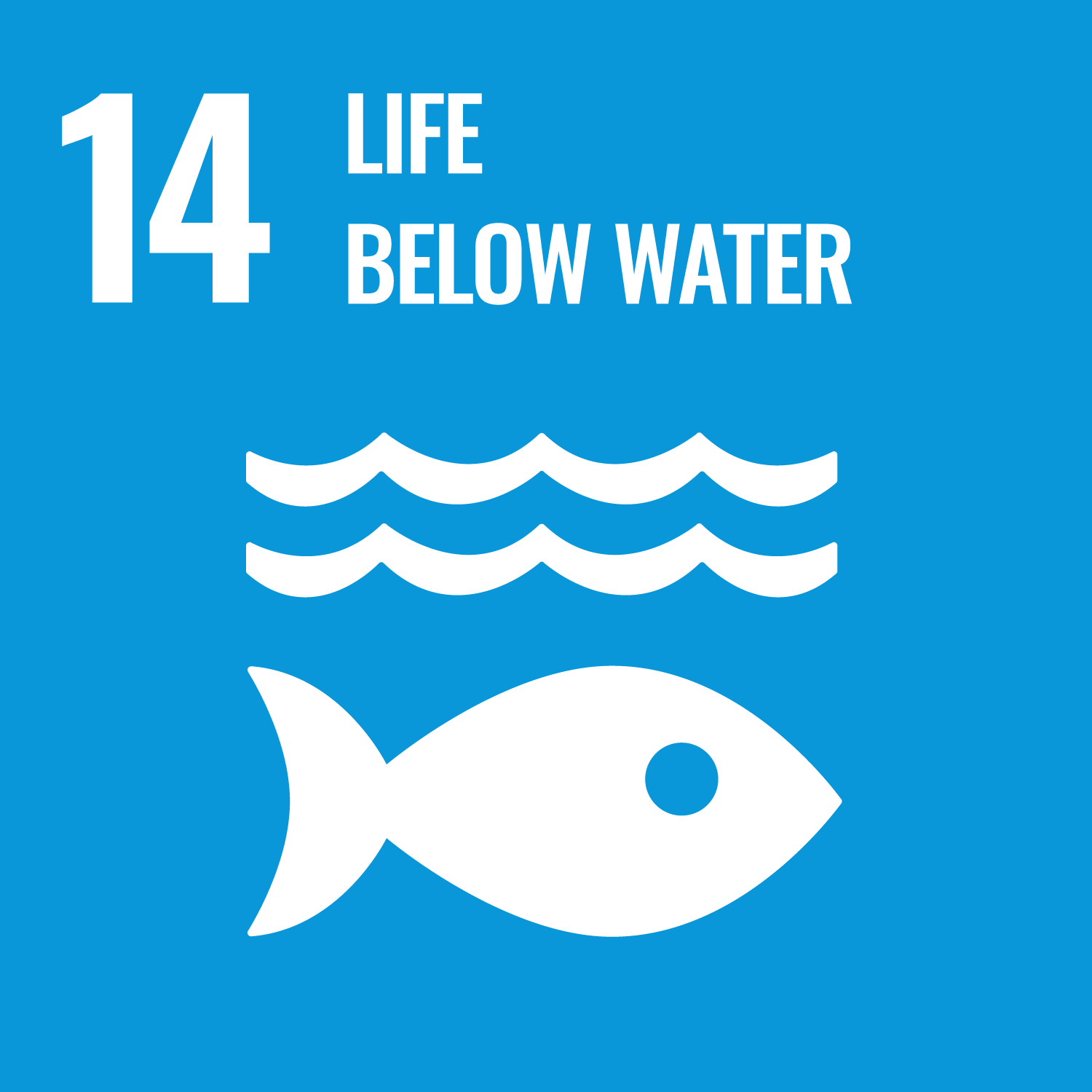 UN SDG 14 - Life Below Water