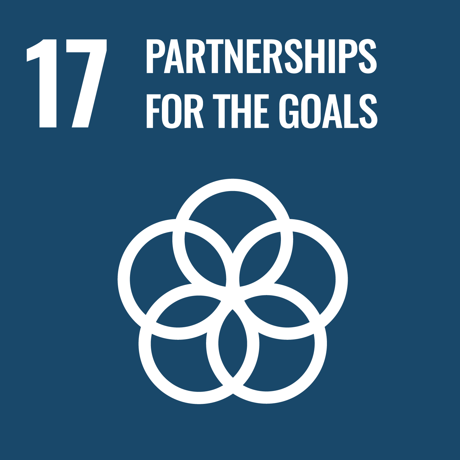 UN SDG 17 - Partnerships for Goals