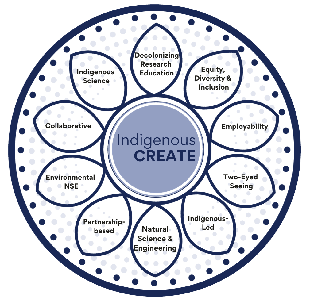 Indigenous CREATE Daisy Indigenous CREATE Daisy