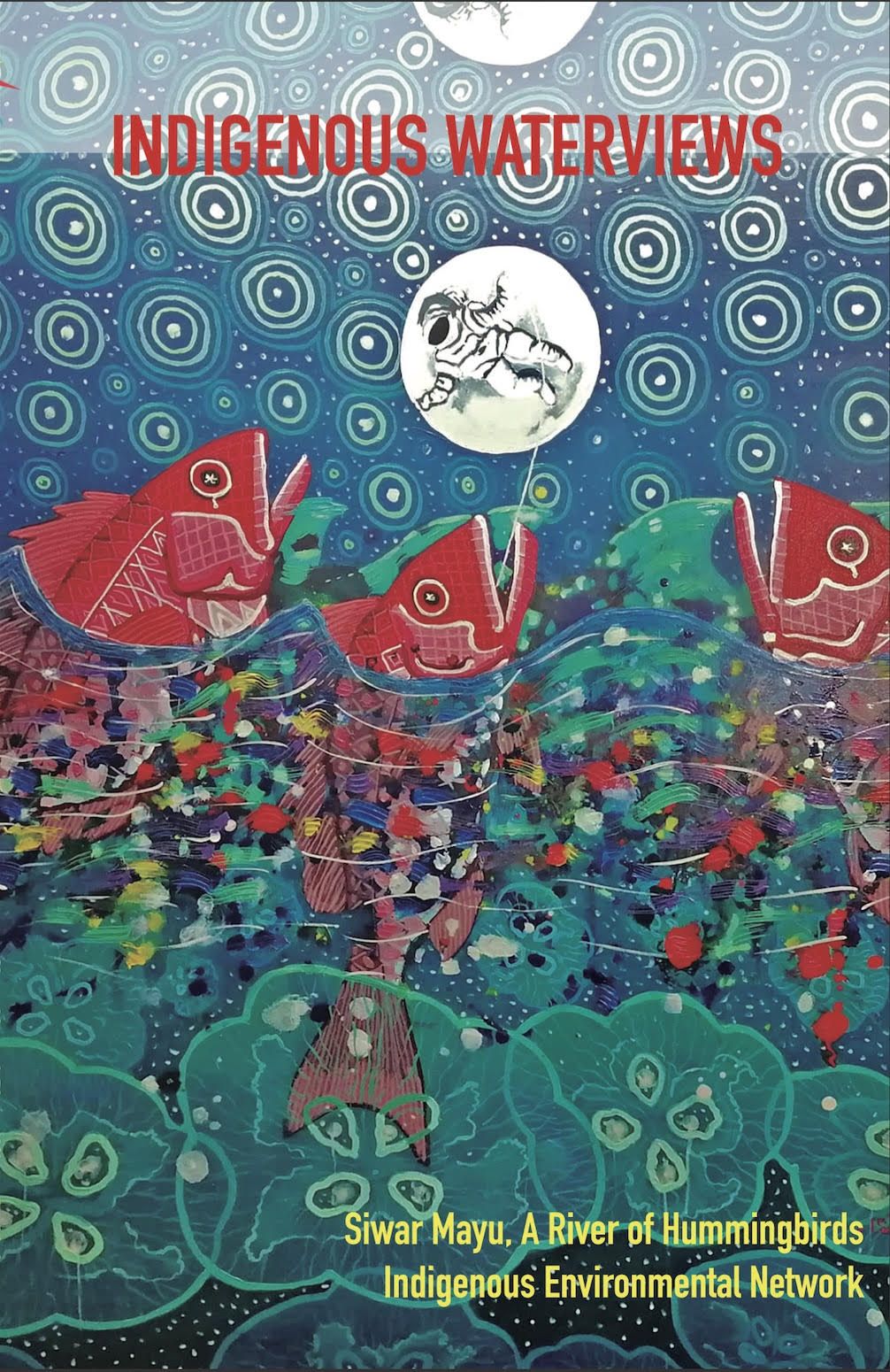 Indigenous Waterviews Book Cover