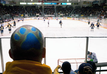Thunderwolves fan in the stand with paw painted on back of his shaved head