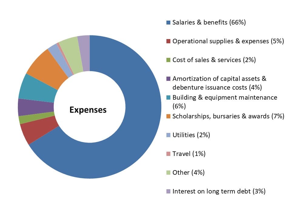 Expenses Piechart