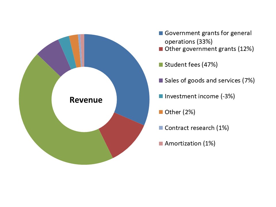Revenue Pie Chart