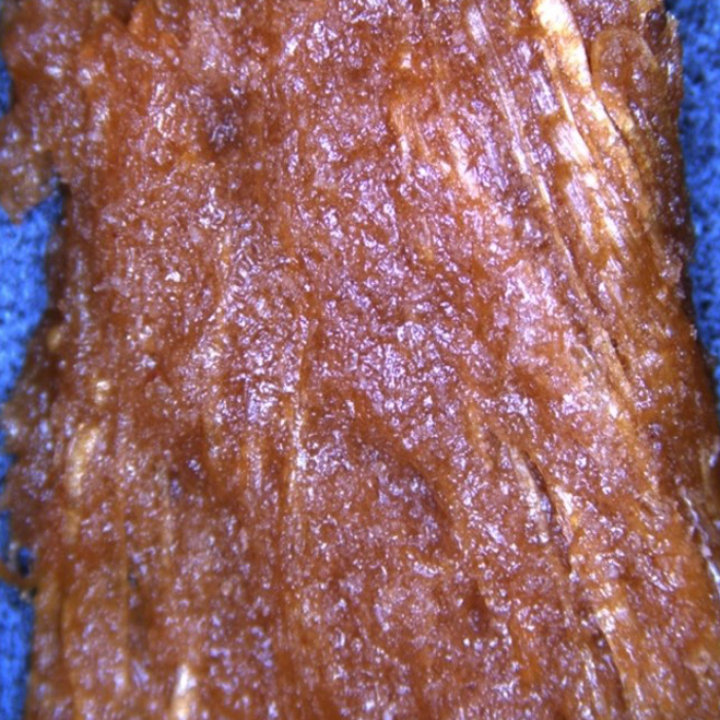 A synchrotron x-ray-computed tomography of a zein protein fibre meat alternative.