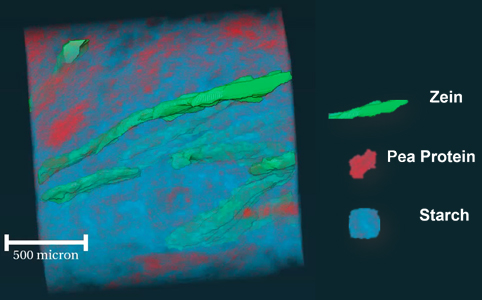 A synchrotron x-ray-computed tomography of a zein protein fibre meat alternative.