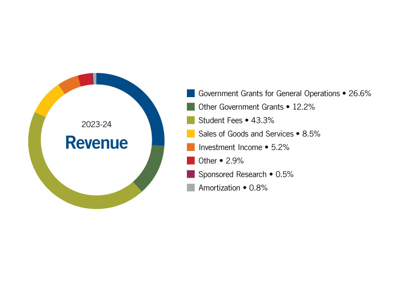 Revenue Pie Chart