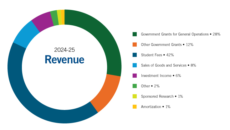 Revenue Pie Chart