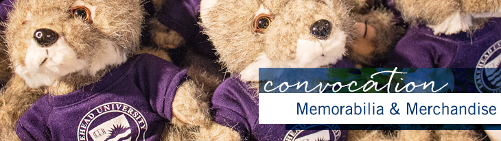 Image of little stuffed Wolfie's - sold as lakehead merchandise