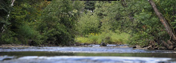 flowing river on campus