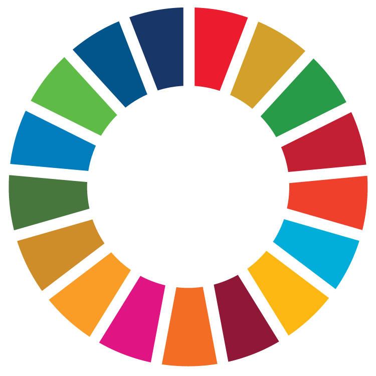 The SDG wheel which displays different colours for each different action